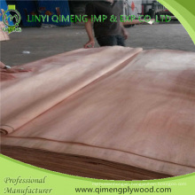 Linyi Low Price B Grade Okoume Veneer in Hot Sale